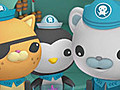 Les octonauts et l&#039;étoile de mer