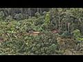 First ever aerial footage of uncontacted Amazon tribe released 4 February 2011
