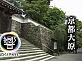 波のごとく　歌のごとく　三千院の声明（京都）