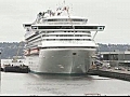 Cruise ship back in Seattle port after hitting whale