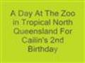 Jason & Jodie Travel Oz - #8 Cairns Tropical Zoo