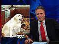 Daily Show: 12/14/10 in :60 Seconds