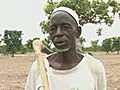Burkina Faso aiming to increase its GM fields