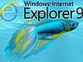 A First Look at Internet Explorer 9 Beta