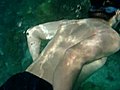 2007帛琉漏咖潛1水