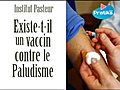 Existe-t-il un vaccin contre le paludisme