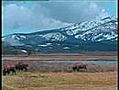 yellowstone national park. amerika. ( voor de natuurliefhebbers.) deel 3.