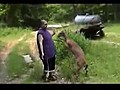 Deer Attacks Fatty