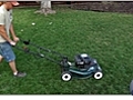 Weekly Lawn Maintenance