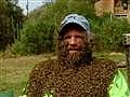 Una granja famosa por las barbas de abejas