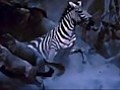 Royksopp - Triumphant (Cool Video) Blue Evolution