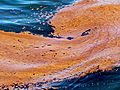 By any measure,  Gulf oil spill is big