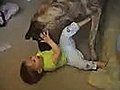 Big dog playing with baby