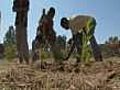 Bob Geldof on Ethiopia’s climate