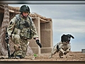 Final soldier and dog journey