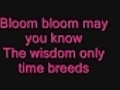 bloom bloom lyrics
