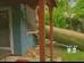 Storms Bring Huge Tree Down On Long Island Home