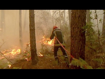 Lacanau : 300 hectares en fumée