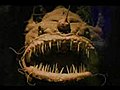 Strange and Prehistoric Deep Sea Creatures