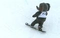 Snowboarding mascots: Major wipeout!