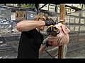 MythBusters: Violence of the Hams