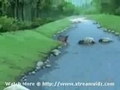 Naruto English Dub Episode 174-2