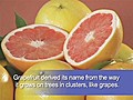 Grapefruit - great fruit