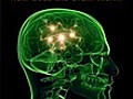 How Does the Brain Work?: Nova scienceNOW