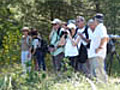 Balades naturalistes dans le Parc du Luberon