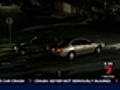 7News: Rafters shock