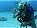 Diving in St. Croix