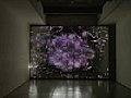 Multiverse,  Leo Villareal Installation: Programming, Part 1