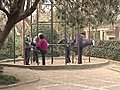 Elderly Exercises In Shanghai Park Stock Footage