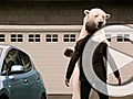 Planet 100: Top 5 Videos Starring Polar Bears