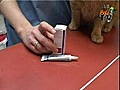 mettre des gouttes dans les yeux de son chat.