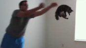 Kitten Enjoys Being Thrown