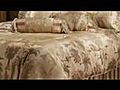 Elite Capri Comforter Set from Southern Textiles