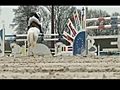 Reprise au galop de la saison équestre au haras départemental de Jardy