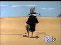 Road Runner & Wile E Coyote  - Sugar And Spies 40/43