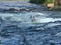 Royalty Free Stock Video HD Footage Kayak Maneuvering in Rapids on a River in North Carolina