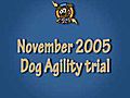 Dog Agility Video