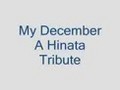 tributo a hinata - my dicember