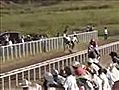 Horrific Mishap Leaves Rider And Horse With Broken Bones