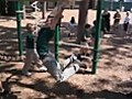 Kids On The Monkey Bars