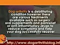 Dog Arthritis PT Series 1 - Early Mobility Benefits
