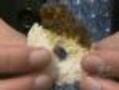 'Smart Sponge' May Help NY Waterways Go Green