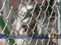 Neal: Make Sure Your Pets Have An Enjoyable Summer