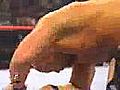 Stone Cold VS HBK 经典大战 泰森裁判