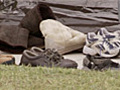 Exclusive Webisode: Sole Searching