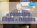 Le cannabis : Effets et Risques